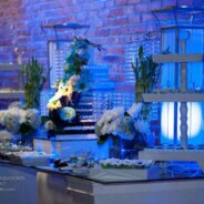 BLUE HORIZON FOUNDATION’S Summer Gala Event